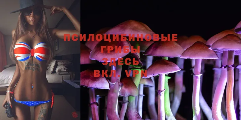 гидра ссылки  Партизанск  Псилоцибиновые грибы MAGIC MUSHROOMS 